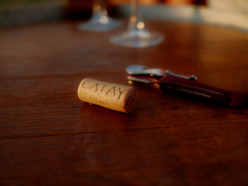 arandinos terraza verano encanto gastronomia