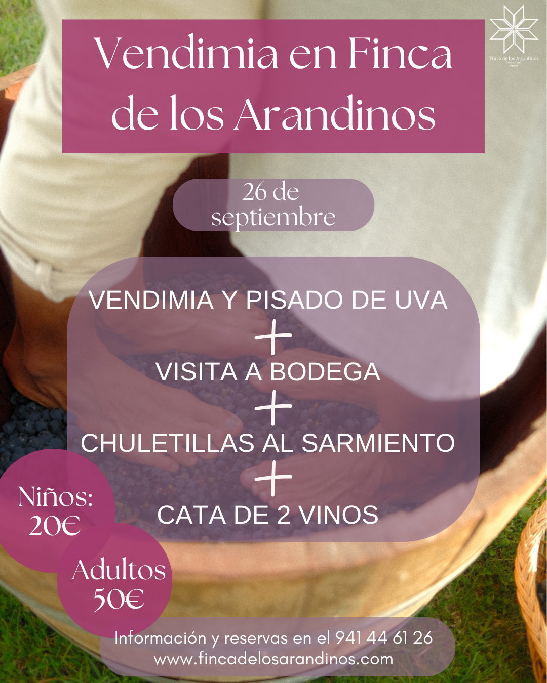 actividad vendimia dia 26 vendimia 2025